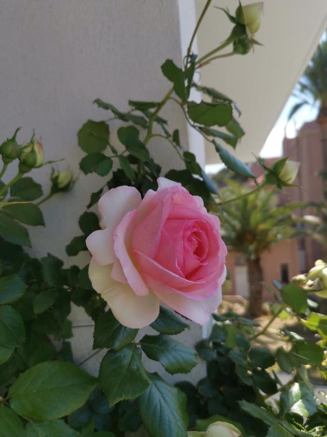 Apartamento Ofdl B T1 Bandol - Briotine Foyalais Exterior foto