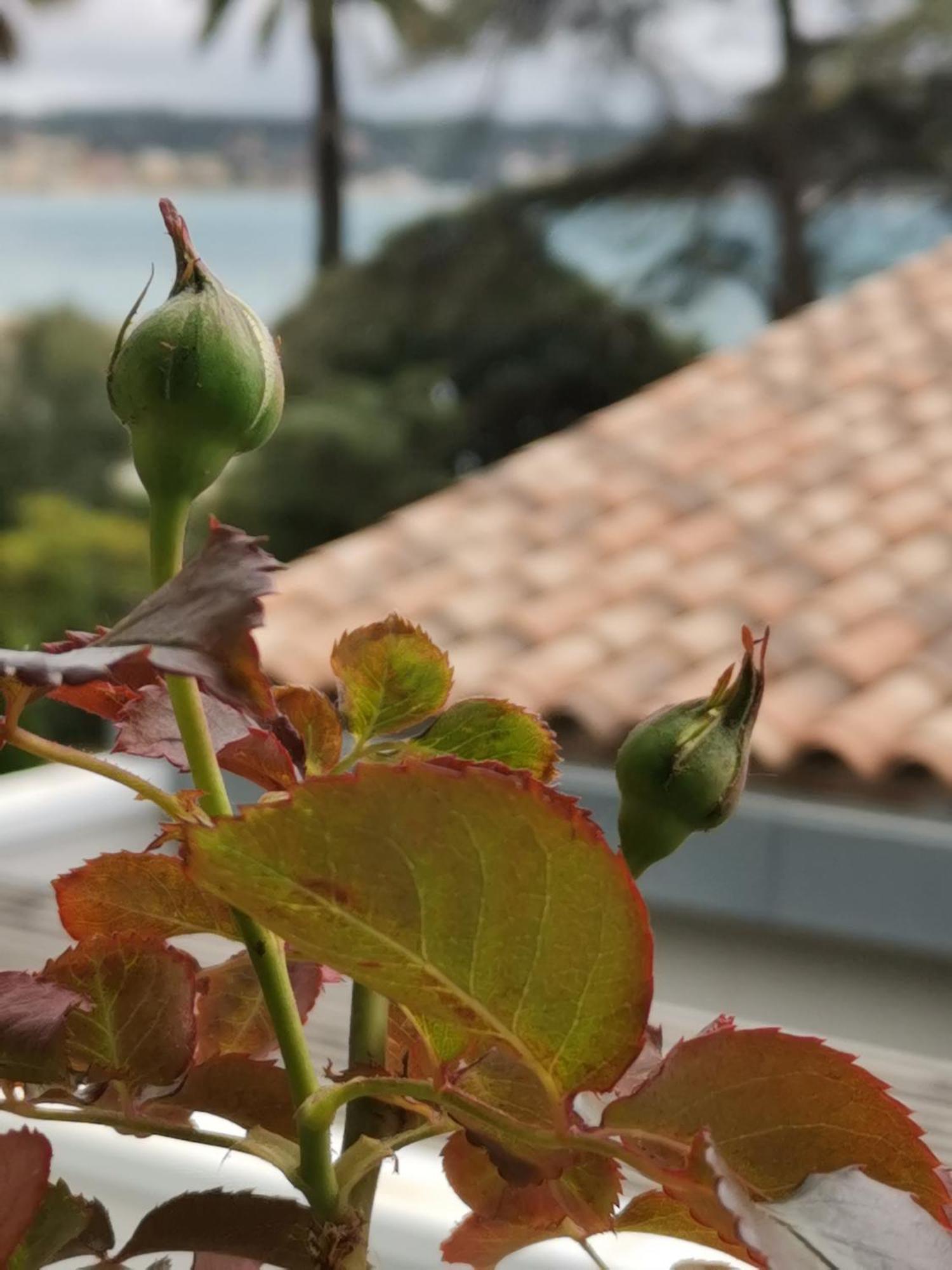 Apartamento Ofdl B T1 Bandol - Briotine Foyalais Exterior foto
