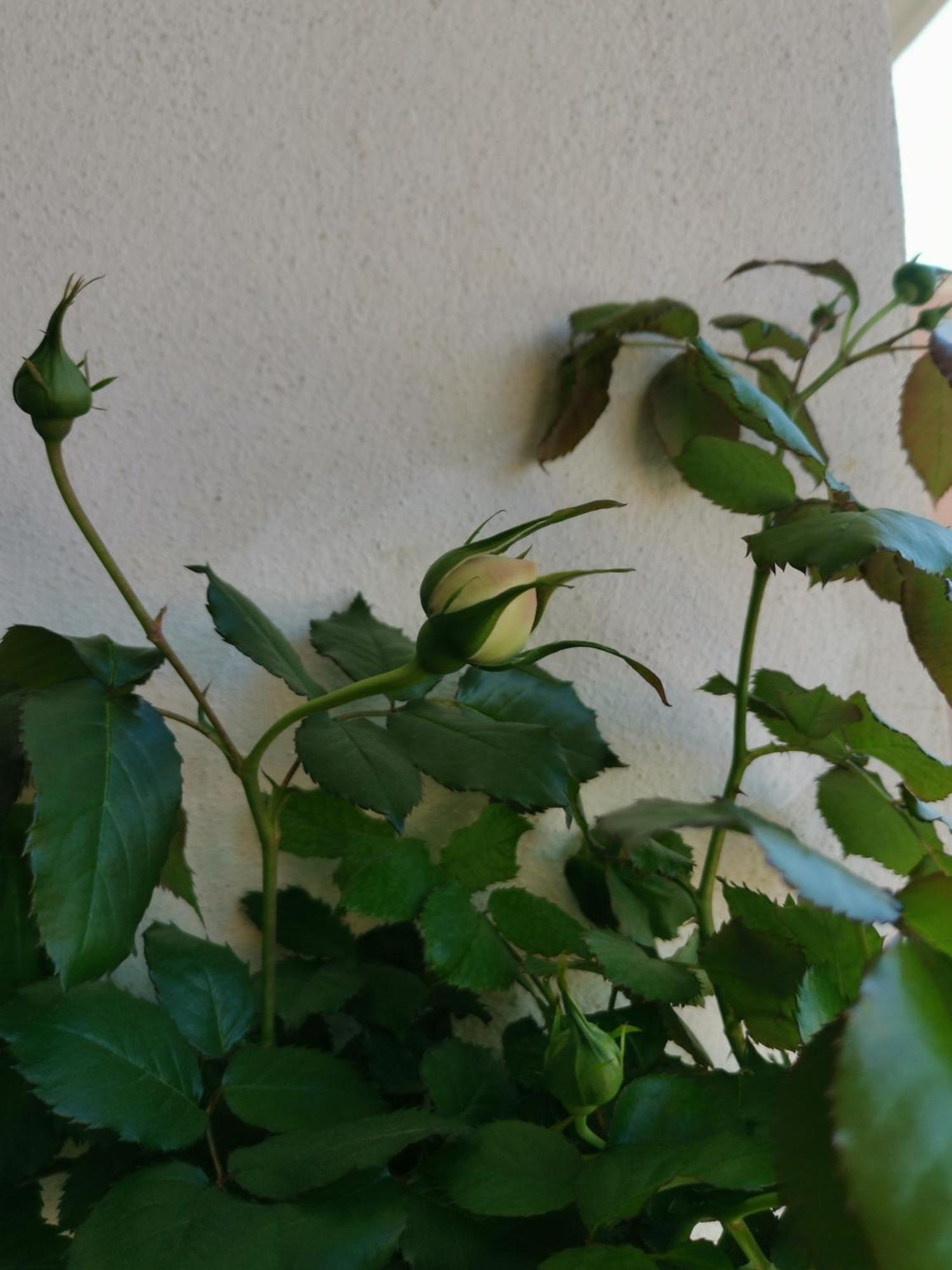 Apartamento Ofdl B T1 Bandol - Briotine Foyalais Exterior foto
